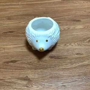 Porcupine pot